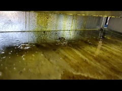 rice bran oil cold pressed