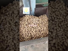 agriculture machinery oil press