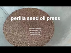 oil press processing castor oil extraction machine