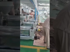 chili oil press machine