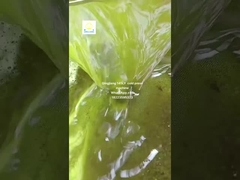 sunflower seed oil press machine