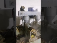 rosehip seed oil organic cold pressed