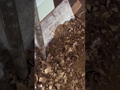 cold pressed grapeseed oil