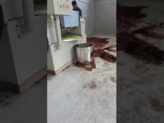 press cold oil machine