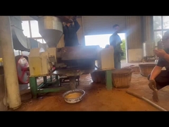 palm oil processing line/palm fruit oil press line