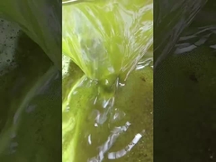 cold press oil cake soybean extraction machine